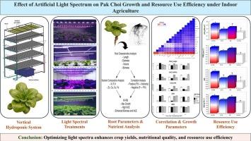 Influence of artificial light spectral quality for enhancing growth, nutrient uptake and resource use efficiency of pak choi cv. Choko in indoor agriculture
