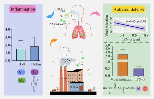 An overlooked health risk of PM2.5: Elevated respiratory viral susceptibility revealed by assessing inflammatory and antiviral responses to chemical constituents