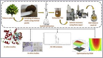 Optimization of extraction efficiency employing response surface methodology, phytochemical screening, in-vitro antibacterial and antioxidant activity, in-silico studies of tobacco (Nicotiana tabacum) seed oil