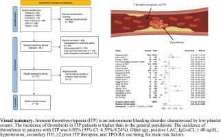 Geographic and diagnostic variations in thrombosis risk among patients with immune thrombocytopenia: A systematic review and meta-analysis