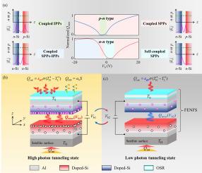 Semiconductor field-effect near-field thermal control skin with tunable emission via voltage-controlled plasmon polariton