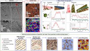 Multiscale microstructural investigations of white and brown etching layers initiating the squat formation in pearlitic rail steels