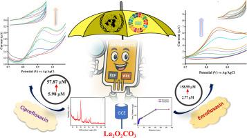 Electrochemical detection of enrofloxacin and ciprofloxacin based on mesoporous La2O2CO3 nanostructures – an eco-friendly electrode material for sustainability