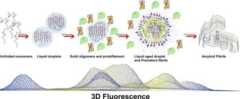 Mapping the structural changes of LCD-TDP43 during the liquid-liquid phase separation by different spectroscopic platforms
