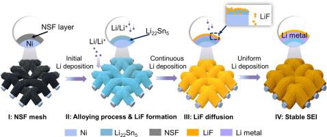 Ultrathin lithium metal anodes for high-efficiency lithium batteries: synergizing surface LiF and Lithiophilic alloying