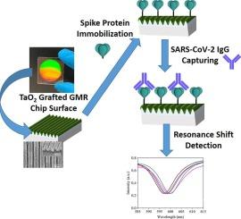 Enhanced detection of SARS-CoV-2 antibodies using guided-mode resonance biosensors: A label-free approach