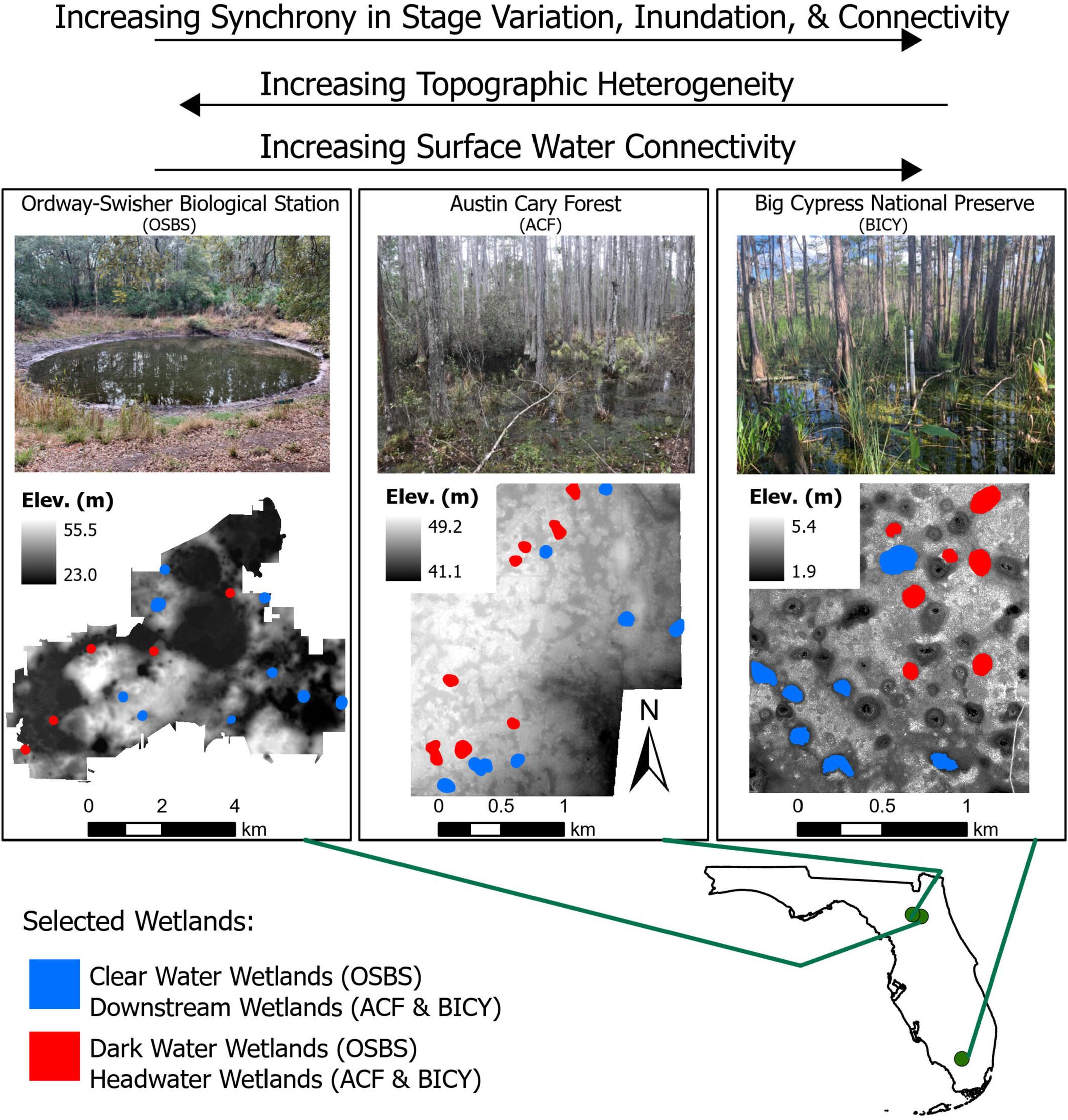 Wetland Hydrologic Synchrony and Functional Redundancy Across Contrasting Wetlandscapes