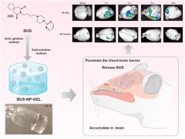 Development and evaluation of buspirone hydrochloride nanoparticle temperature-sensitive gel for treating generalized anxiety disorder