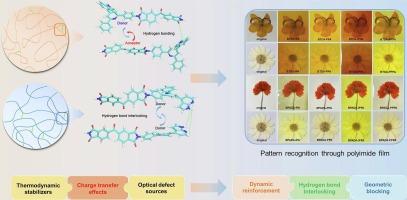 DNA-inspired self-complementary architecture: Achieving stable decoupling of thermodynamic and optical properties in polyimides through orchestrated hydrogen bonding
