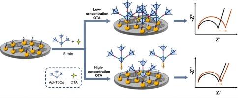 Tetrahedral DNA cluster-based signal-amplified Impedimetric biosensor for ultrasensitive detection of Ochratoxin A