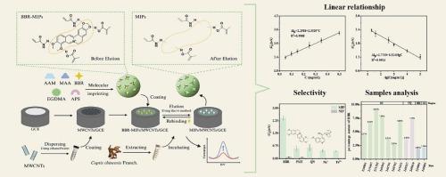 A molecularly imprinted polymer-based electrochemical sensor for highly selective and sensitive Berberine detection in complex herbal samples