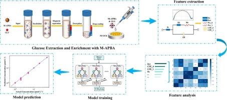 The specific recognition of glucose in real samples by AC-impedance method assisted with 3-aminophenylboronic acid-modified magnetic nanoparticles and predictive analysis via GridSearch-XGBoost
