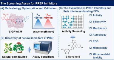 NIR fluorescent substrate-driven discovery of prolyl endopeptidase natural inhibitors and its inhibition of alpha-synuclein aggregation and promotion of autophagy