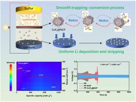 CoF2 nanodots embedded N-doped carbon polyhedrons as a multifunctional interlayer for dendrite-free and stable lithium-sulfur batteries
