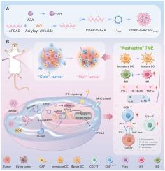 Reshaping tumor immune microenvironment through ROS-responsive prodrug polyplexes via synergistic effect of CRISPRi system and epigenetic inhibitor for breast cancer therapy