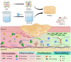 Hydrogels loaded with aqueous supramolecular fullerene complex for the promotion of diabetic chronic wound healing