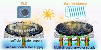Solar-driven polypyrrole-decorated polyester filter cotton for efficient desalination and zero liquid discharge