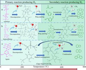 Hydrogen production from pyrolysis of biomass components
