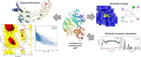 Targeting the zinc metalloprotease gp63 of Leishmania for vaccine design and new drug discovery using immunoinformatics, molecular docking and molecular dynamics simulation studies