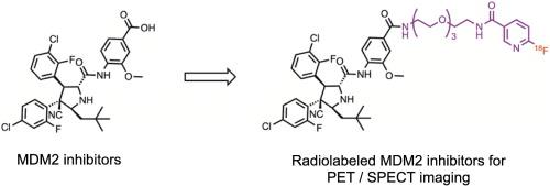 A concise review on MDM2 inhibitors and recent progress in radiopharmaceutical development for imaging MDM2 expression in tumors with PET or SPECT