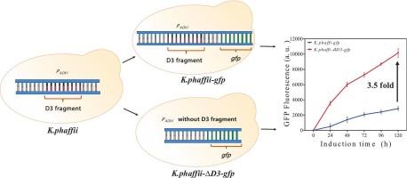 A fragment in the 5′ untranslated region of alcohol oxidase 1 promoter significantly influencing gene expression of Komagataella phaffii