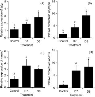 Dietary supplementation with Bacillus tropicus enhances growth performance, modulates gut microbiota, and improves health status in giant freshwater prawn, Macrobrachium rosenbergii