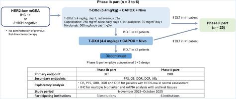An open-label phase Ib/II study of trastuzumab deruxtecan combined with nivolumab and CAPOX for HER2-low gastroesophageal adenocarcinoma