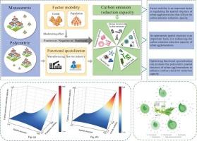 The divergent effects of spatial structure of urban agglomerations on carbon emission reduction capacity