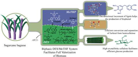 Biphasic system and benign polymerization enable full utilization of biomass components