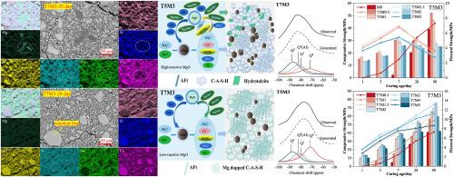 The influence and modification mechanism of magnesium oxide with varying activities on the performance of sodium sulfate activated slag