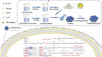 Mechanisms underlying the regulation of anthocyanin metabolism in postharvest blueberries by microcapsule-containing thymol coatings