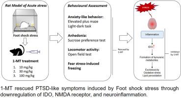 Inhibition of indoleamine 2,3-dioxygenase by 1-methyl-D-tryptophan (1-MT) rescued PTSD-like symptoms via downregulation of neuroinflammation and NMDA receptor