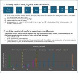 Predicting infant vocabulary from neural connectivity and maternal speech: A machine learning approach