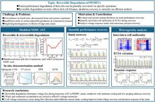 Impact of shutdown operations on the recovery of reversible degradation in proton exchange membrane fuel cells