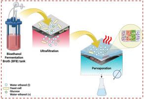 Integrated ultrafiltration and pervaporation process using PDMS/ZnO-modified PSf nanohybrid membranes for enhanced bioethanol purification from fermentation broth