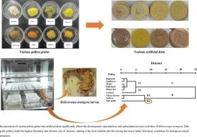 The suitability of artificial diets containing diverse pollen grains to Helicoverpa armigera (Hübner): Population growth performance and antioxidant enzymes activities