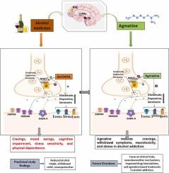 Therapeutic potential of agmatine in alcohol use disorder: Preclinical insights and future directions