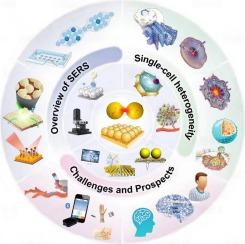 Deciphering cellular heterogeneity: Breakthroughs and prospects of single-cell-level SERS analysis in precision medicine