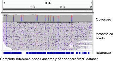 Easy reference-guided assembly of nanopore whole plasmid sequencing datasets