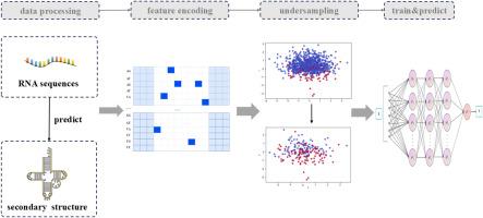 PreRBP: Interpretable deep learning for RNA-protein binding site prediction with attention mechanism