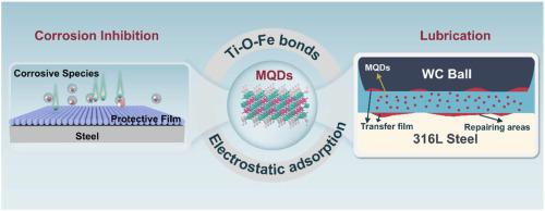 Ti3C2Tx quantum dots achieve superior corrosion inhibition and lubrication via forming Ti–O–Fe coordination bonds: Experimental verification and computational investigation