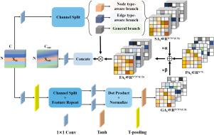 Self-attention enhanced dynamic semantic multi-scale graph convolutional network for skeleton-based action recognition