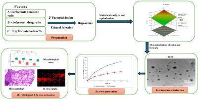 From bench to biology: Unraveling the efficiency of novel brijosomes for trans-tympanic drug delivery