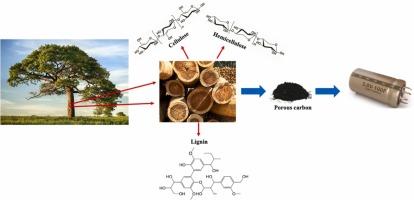 Challenges and prospects of synthesizing biomass-derived porous carbon for electrochemical capacitors