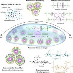 Engineering poloxamer copolymers for in situ gelling systems: Structural, compositional, and functional modifications