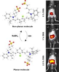 Sulfonate-modified cyanine probe enables real-time monitoring of oxidative stress in colitis via hydroxyl radical-specific fluorescence turn-on