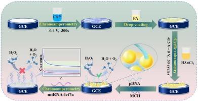 Acidic etching coupled with coordination assembly for in situ synthesis of fishbone-shaped Cu(II)-phytic acid polymer for electrochemical biosensing of microRNA-let 7a