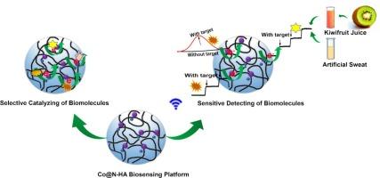 An electrochemical biosensor with engineered Co-N active sites loaded on humic acid for catalyzing and detecting of biomolecules