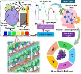 In-situ flexible non-destructive wireless sensing for bagged fruits