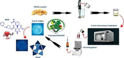 Validated green fluorescent nanosensor for barnidipine determination using lupine-derived multi-doped carbon quantum dots